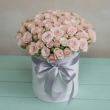 Цветочная композиция из Розы в шляпной коробке #REPLACE_PRED# Перелюбе