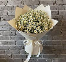 Букет цветов из:  Ромашки #REPLACE_PRED# Перелюбе
