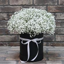 Цветочная композиция из Гипсофила в шляпной коробке в Перелюбе